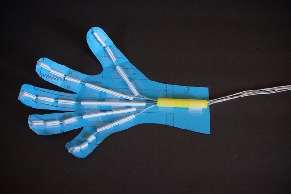 Robotic Hand Science Project : 5 Steps (with Pictures) - Instructables