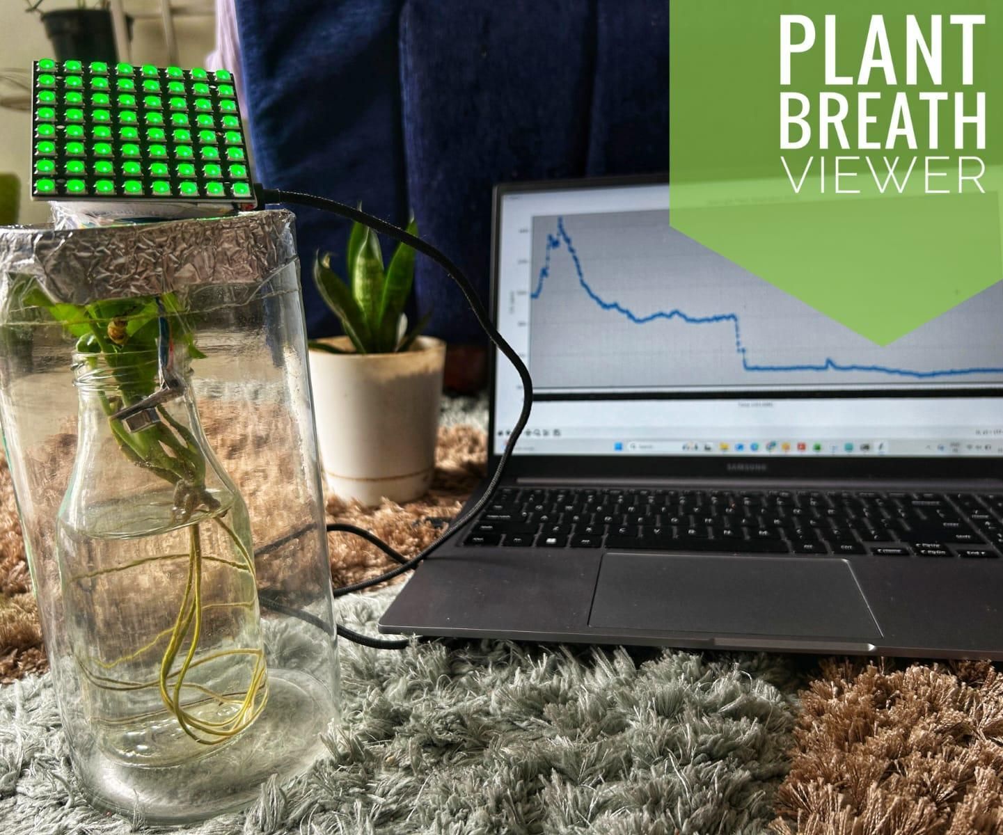 PhytoPulse: Visualising Hidden Respiration Cycle