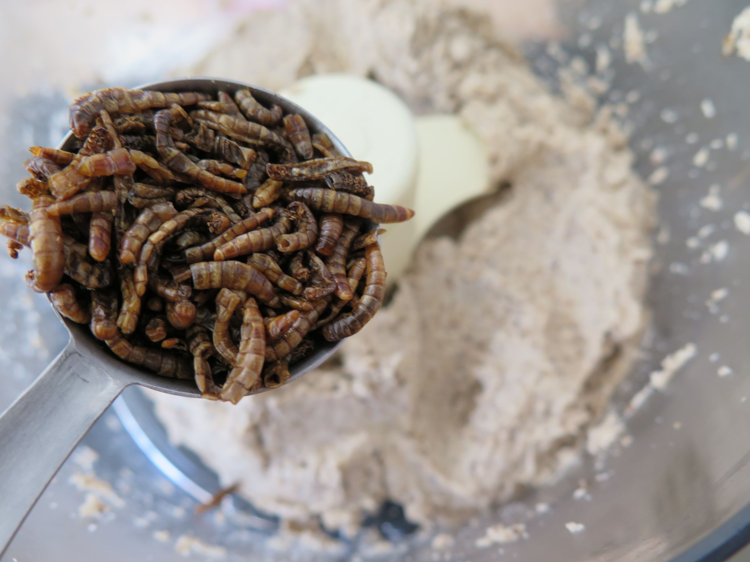 Mealworm French Bread.. Gluten Free 12 Steps (with Pictures