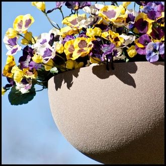 Hanging Baskets Are Striking and Vibrant for Exterior Spaces