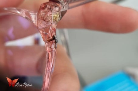 Why Were These Glasses Created?