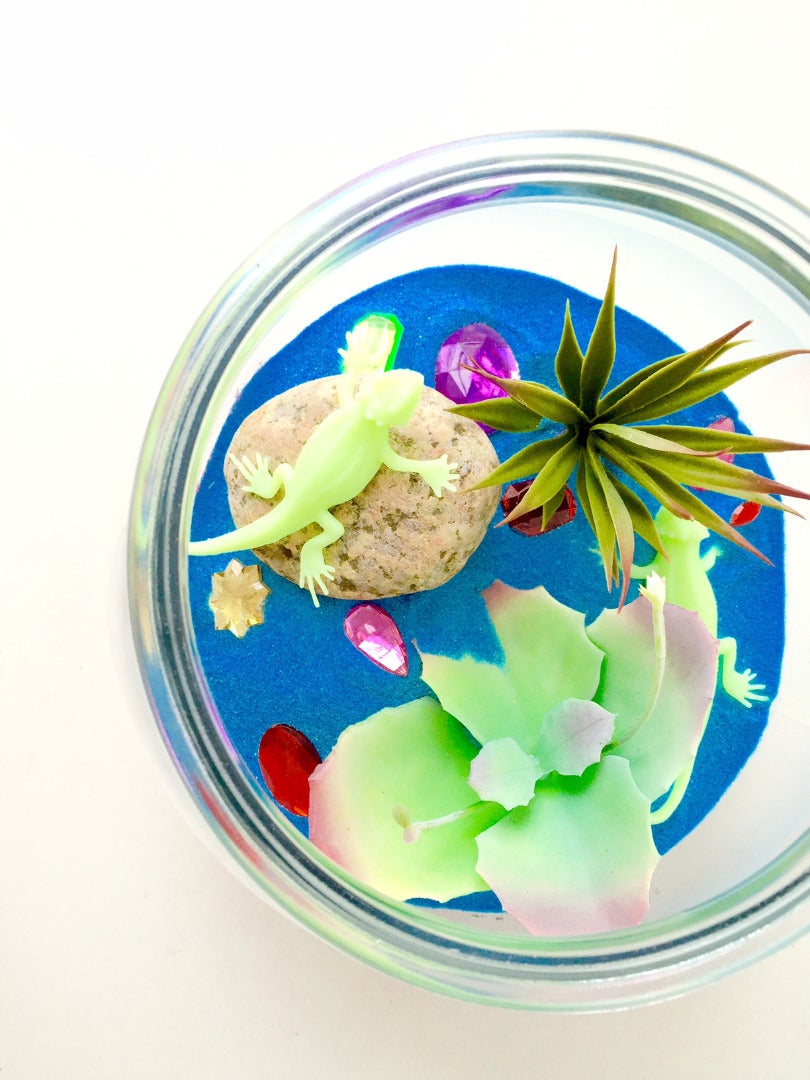 Enjoy Your Terrarium