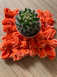 Smocking Orange Doily