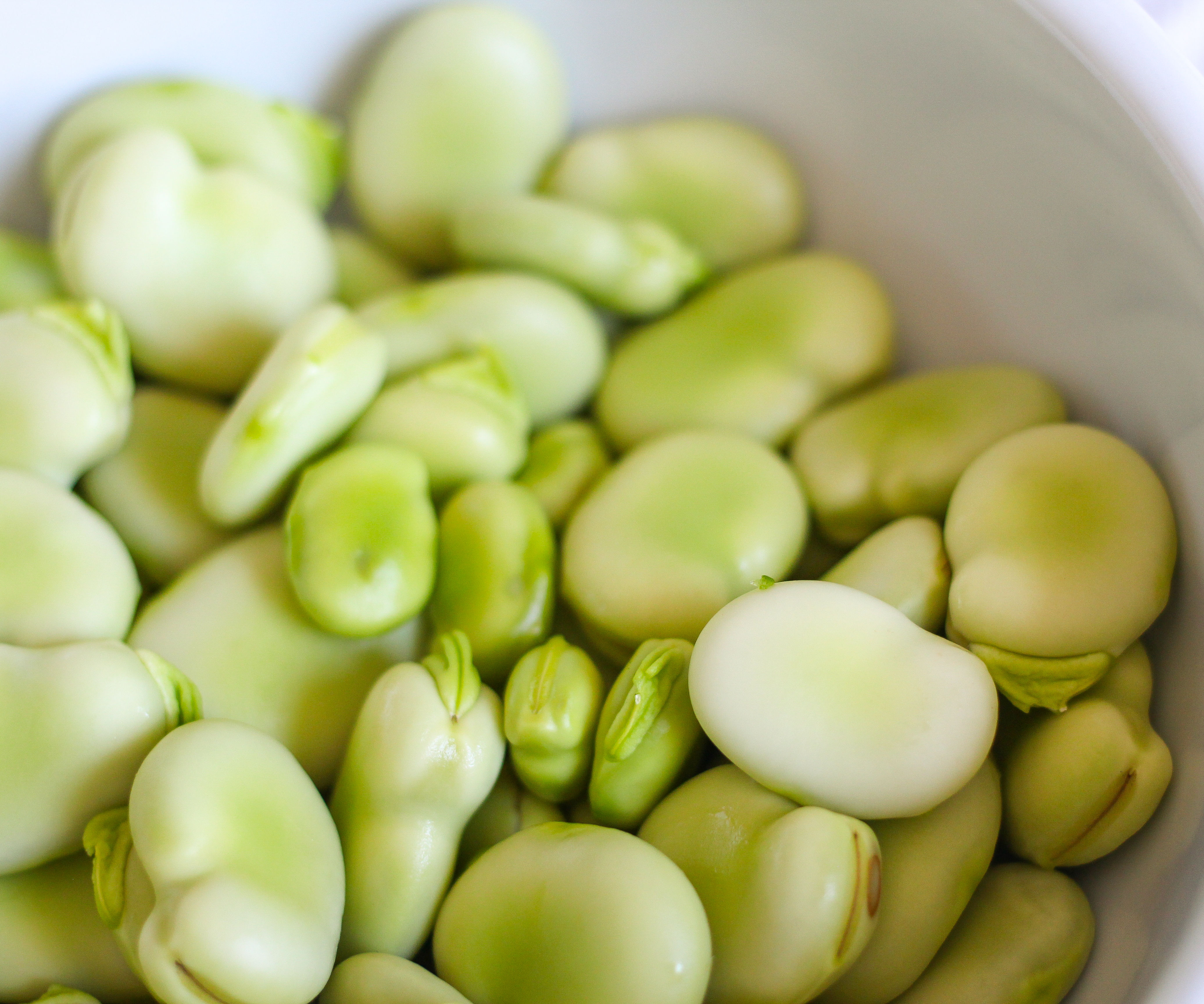How to Cook Fava Beans