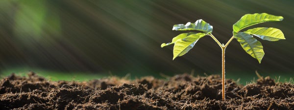 Green Earth
