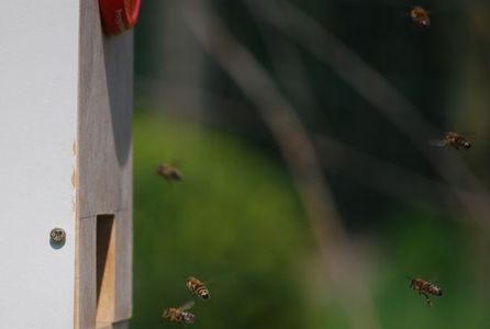 Computer Case Beehive : 8 Steps (with Pictures) - Instructables