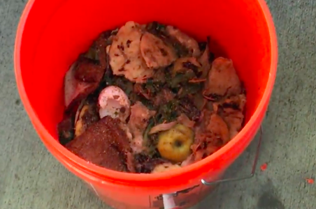 Add Food Waste & Bacteria
