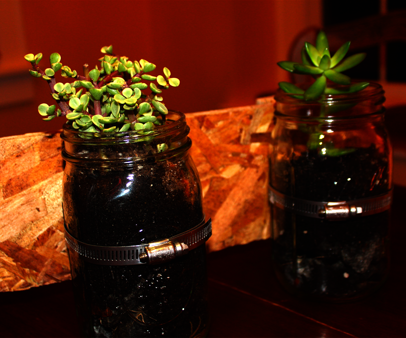 DIY Mason Jar Planters