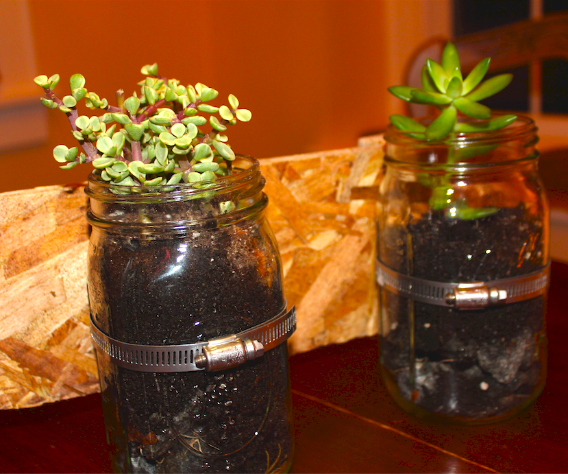 DIY Mason Jar Planters 4 Steps (with Pictures) Instructables