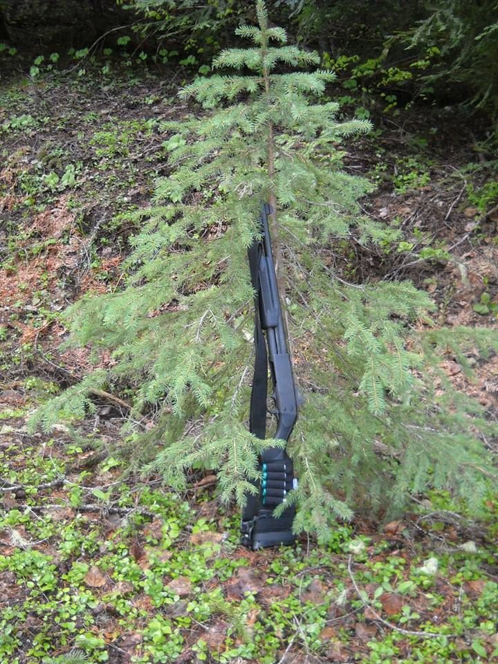 Bug Out Survival Shotgun