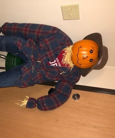 Decorative Halloween Scarecrow!