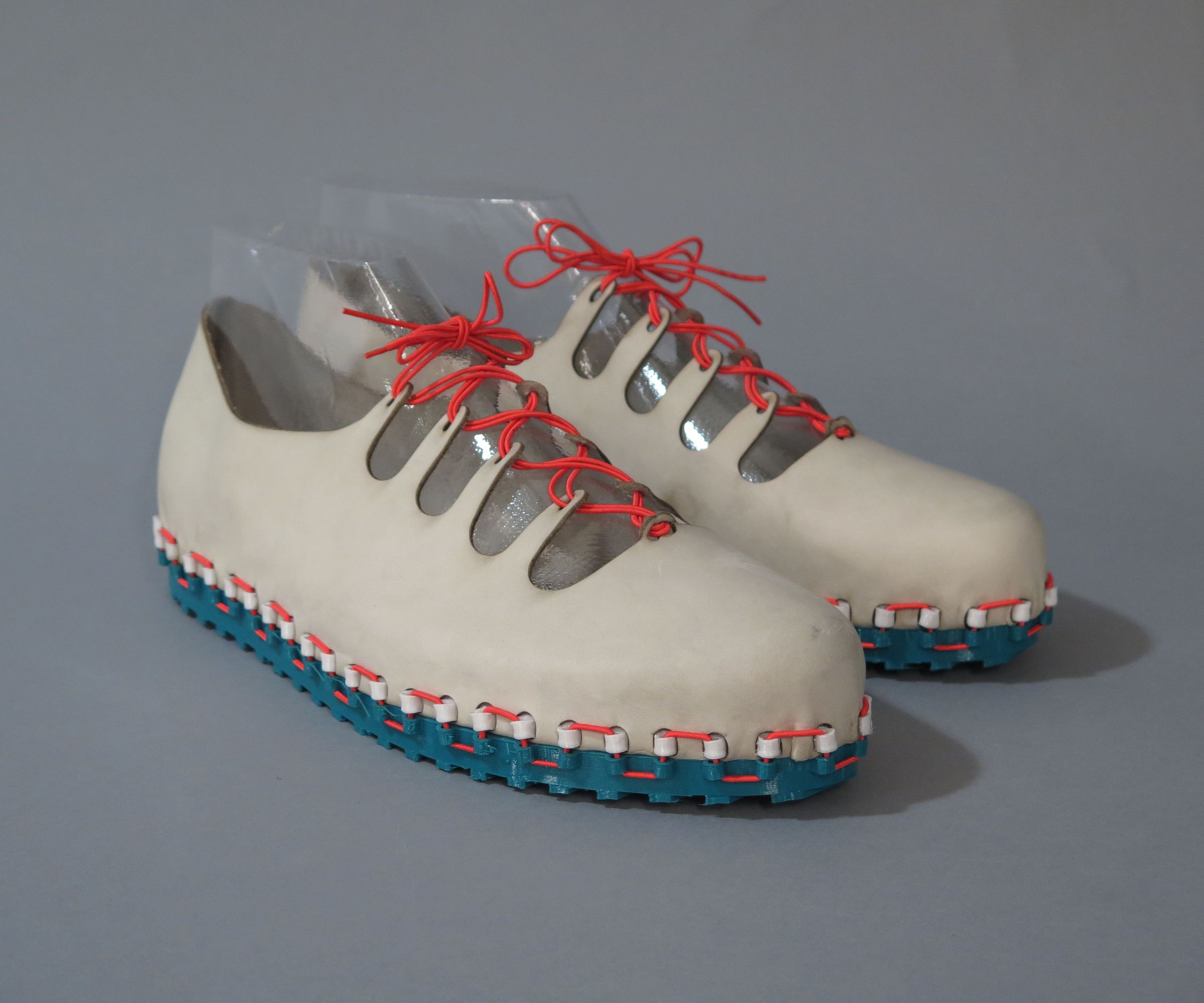 Modular Shoe