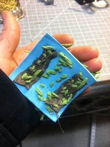 Making the Sensor