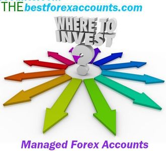 Forex Investing Guide