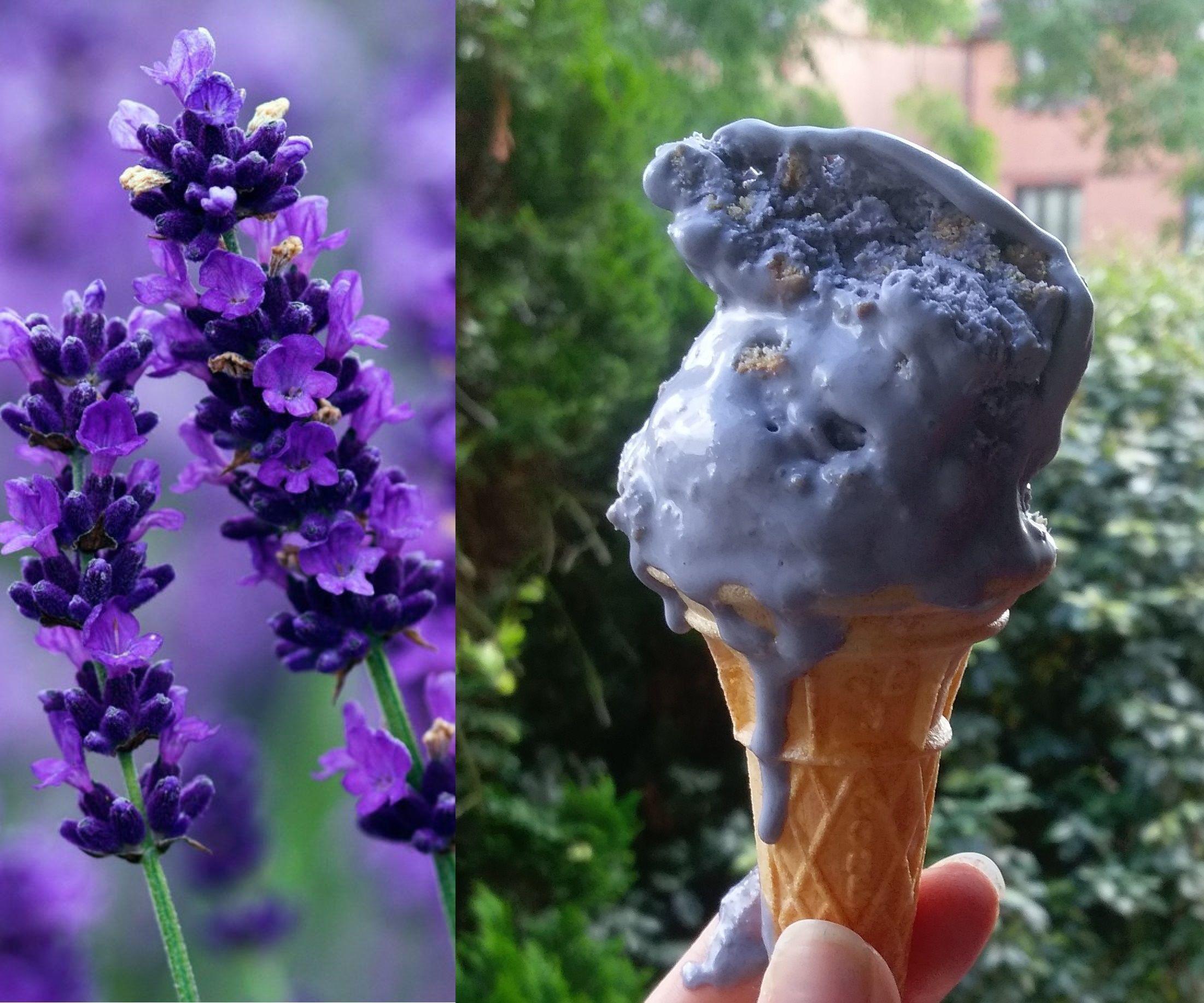 Lavender & Earl Gray No-Churn Ice Cream 