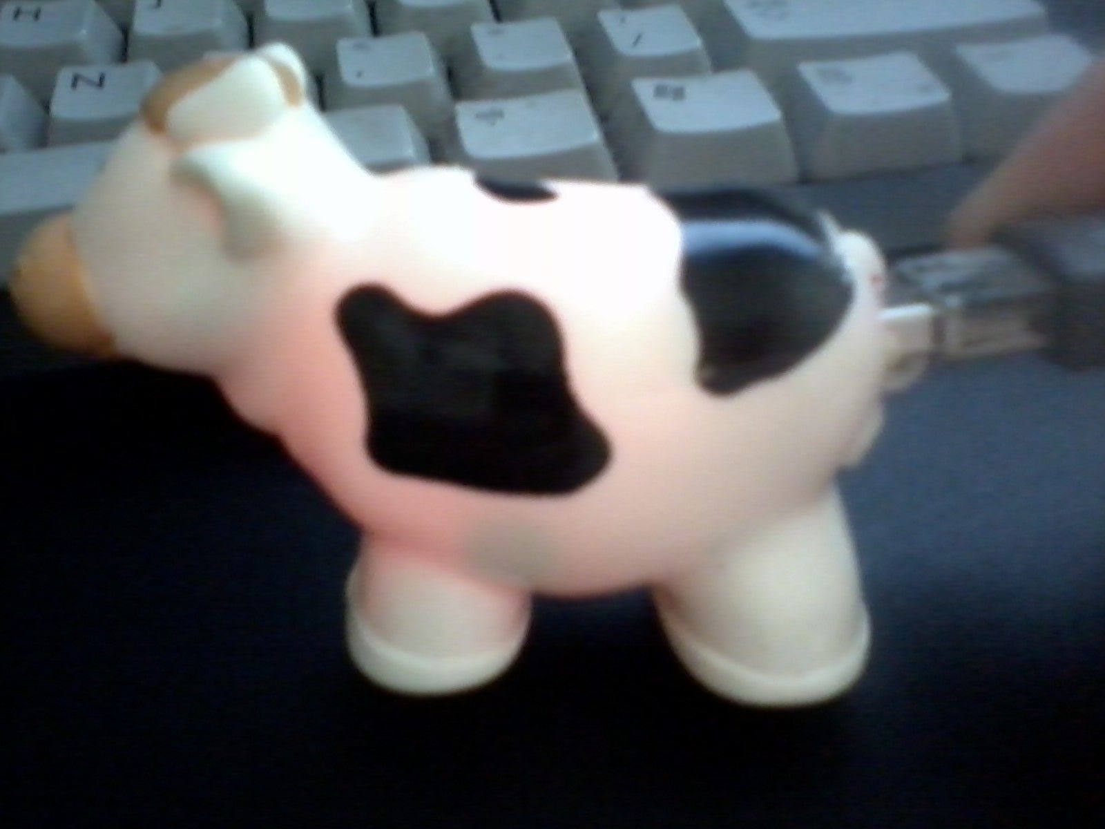 Cow Drive