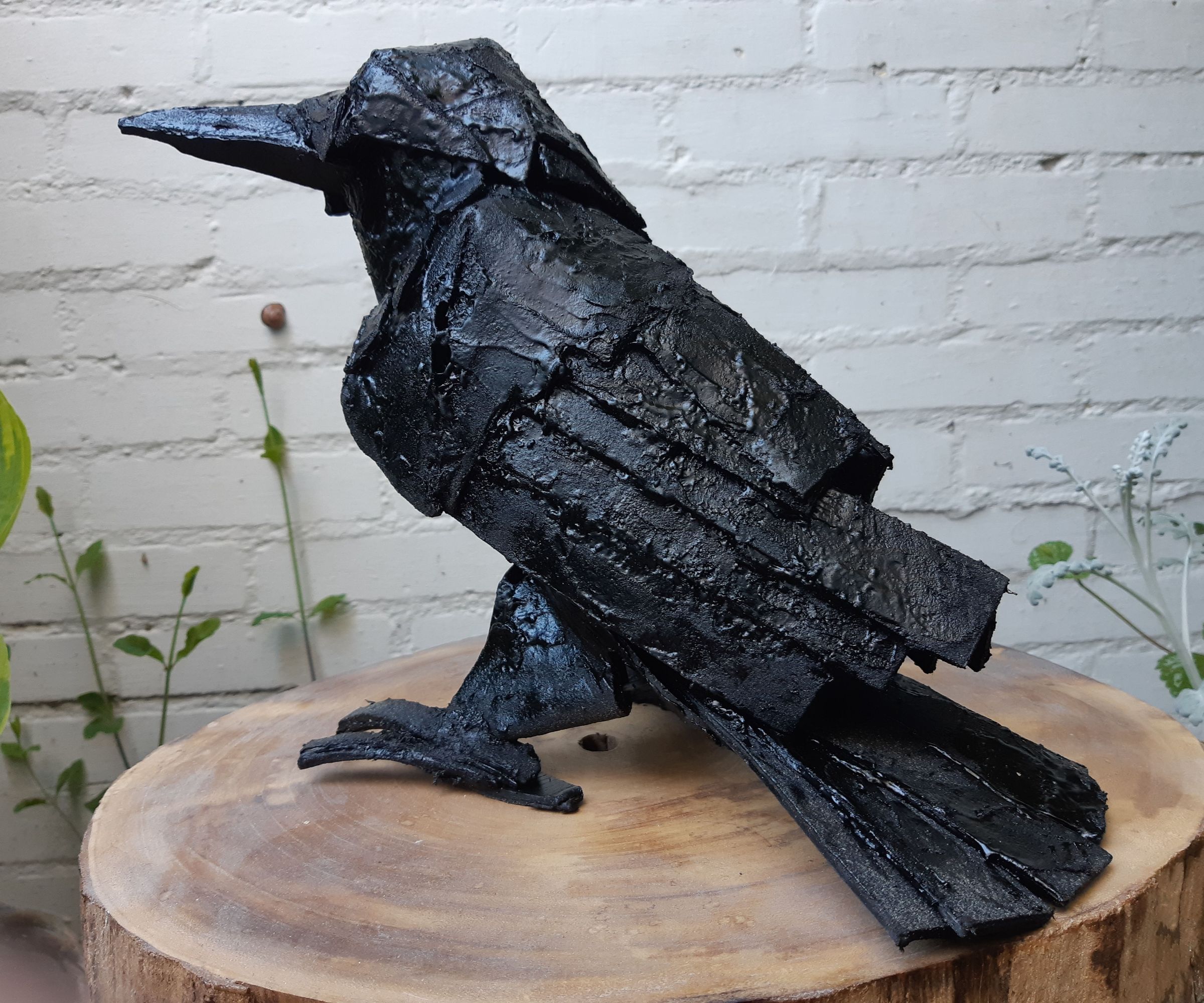 Bitumen Roof Top Crow