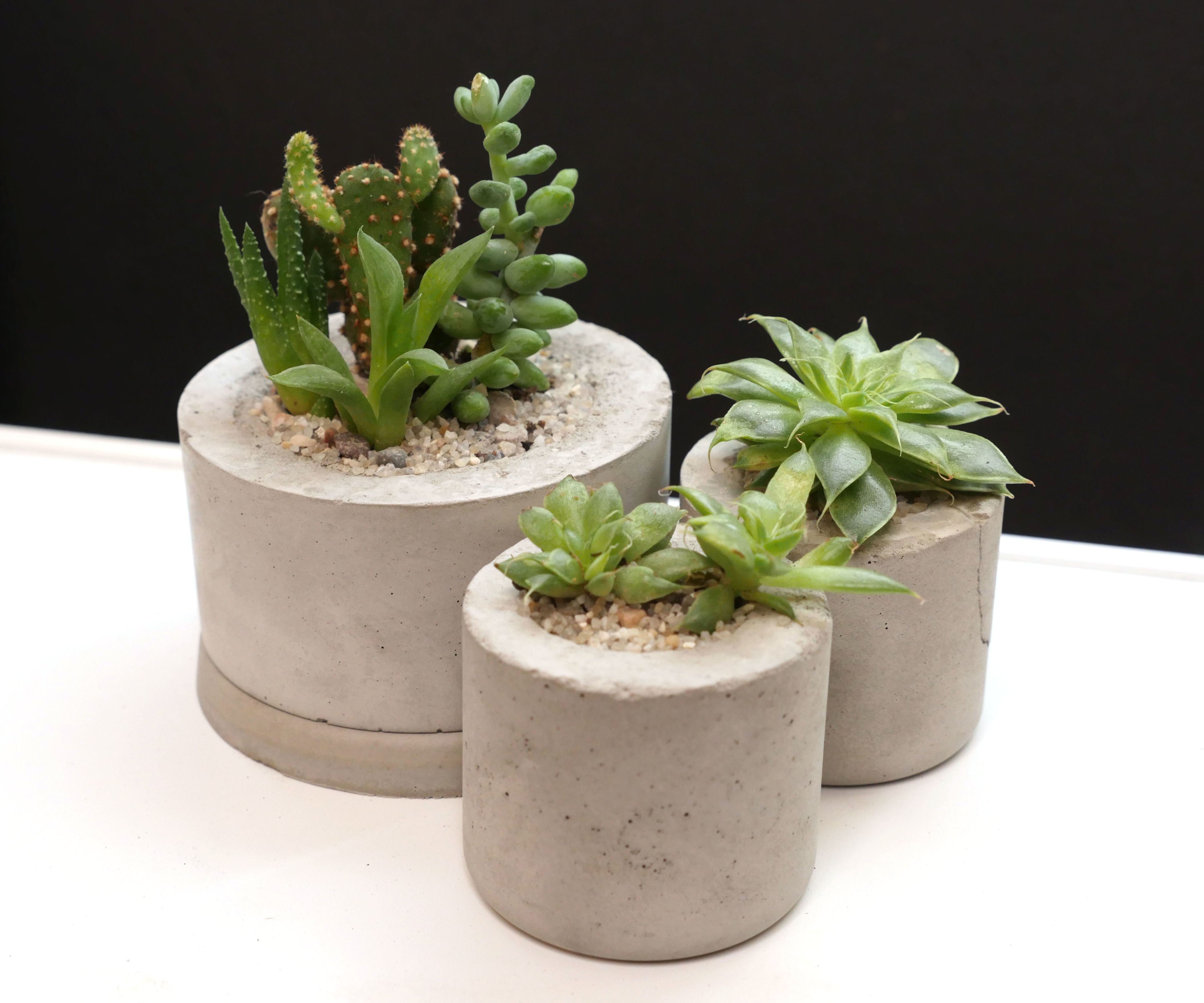 Mini Concrete Planters Using Plastic Bottles