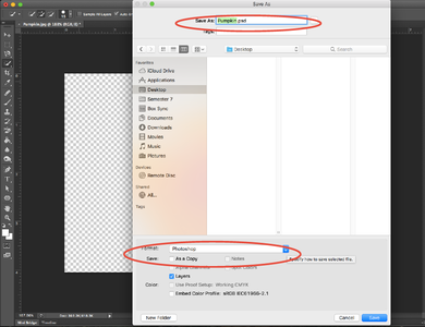 Save Your Image As a PNG File
