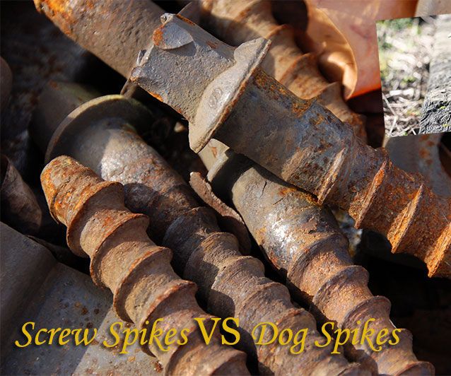 How to distinguish between screw spikes and dog spikes?