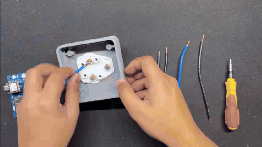Plug Section Complete Assembly