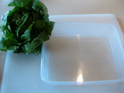 Angry Birds Bento Box