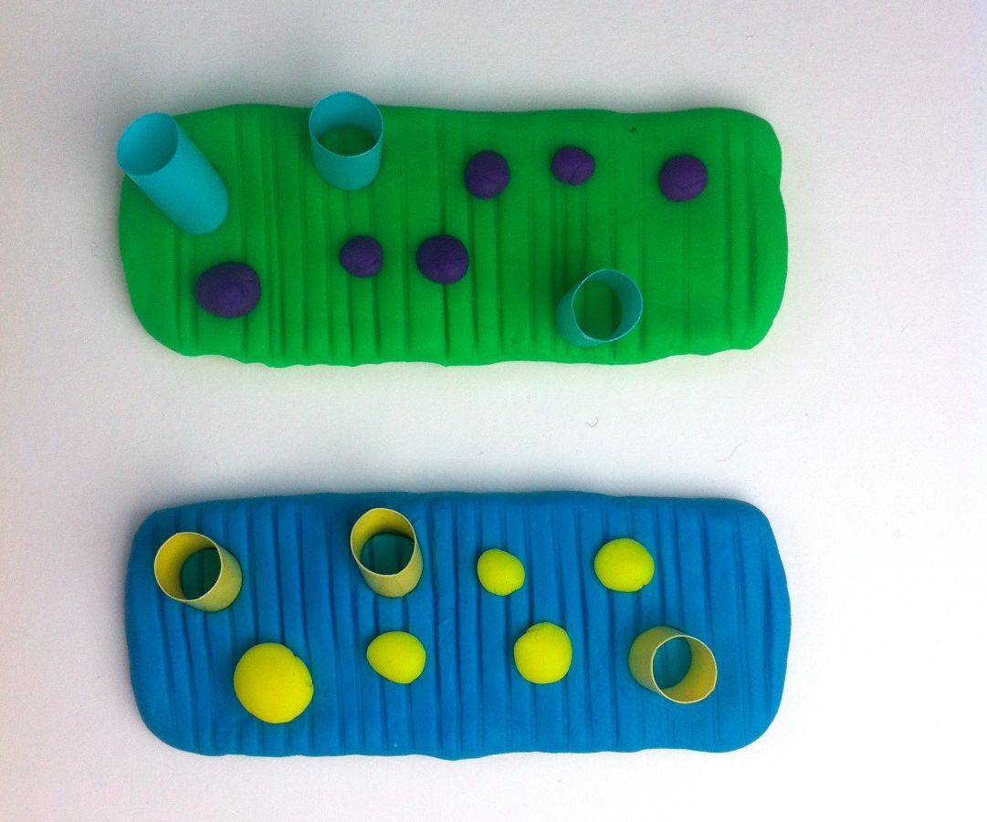 DIY Electro Dough Heart Cell (Cardiomyocyte)