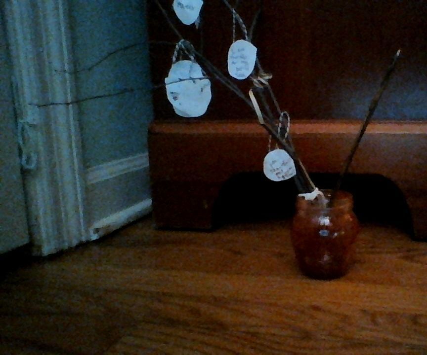 Image 15