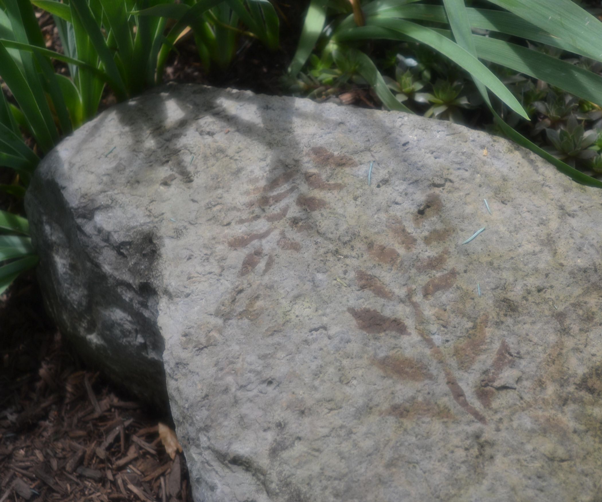 Faux Fossils (Fake Fossils) for Your Garden 7 Steps (with Pictures