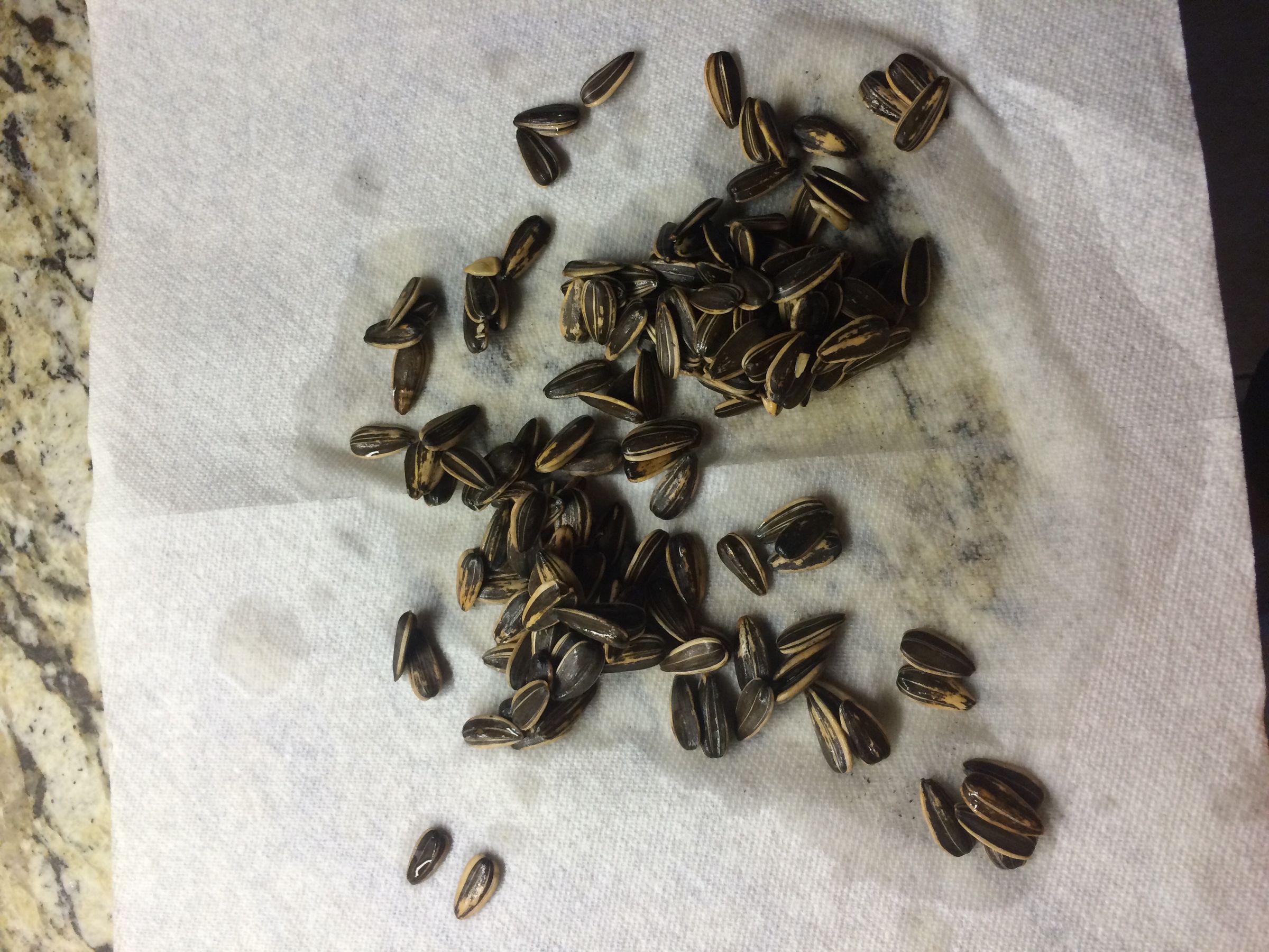 How to Make Your Own Old Bay Sunflower Seeds 5 Steps Instructables