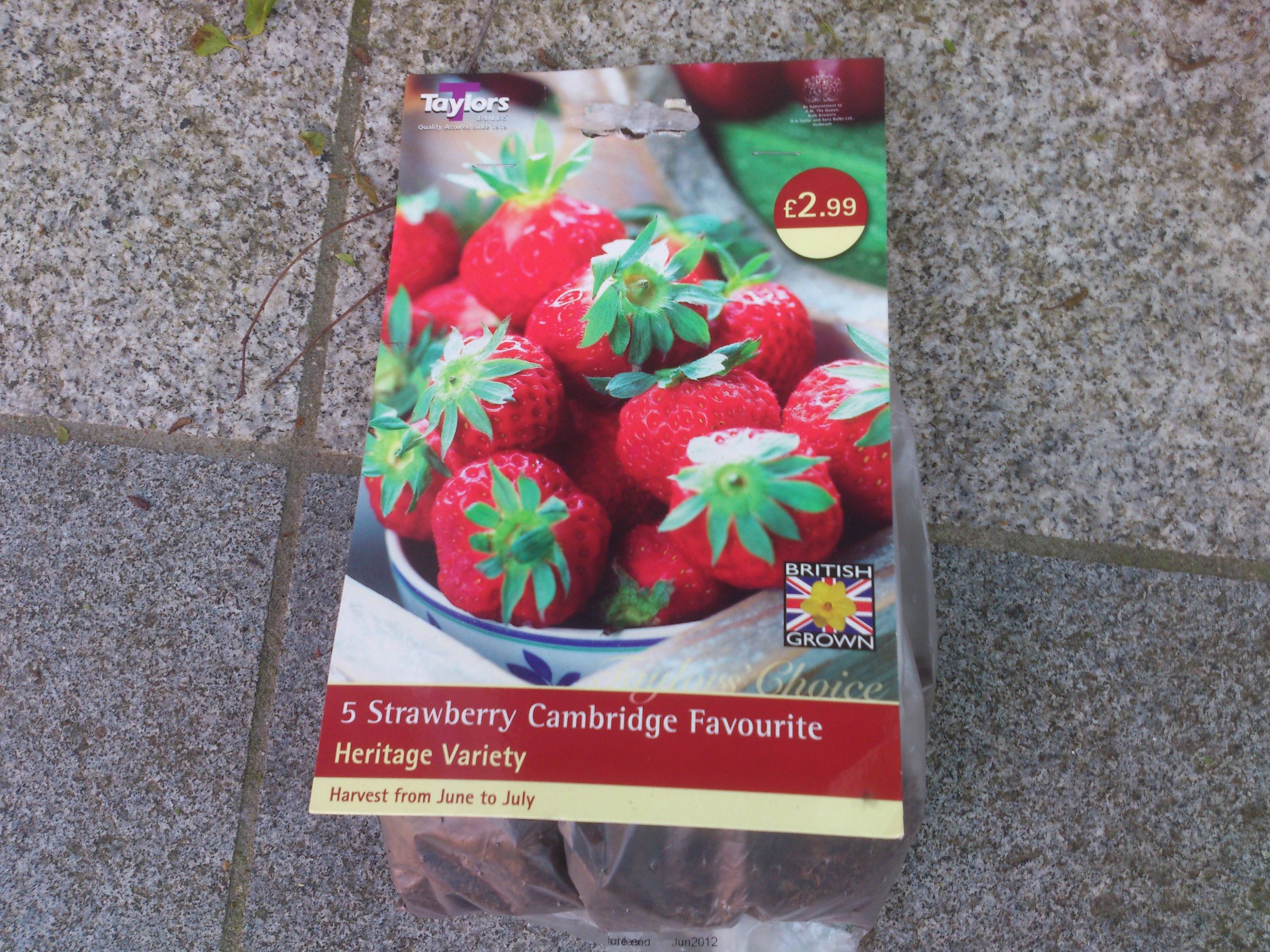 Organic Strawberry Growing (to the Core!) 4 Steps Instructables