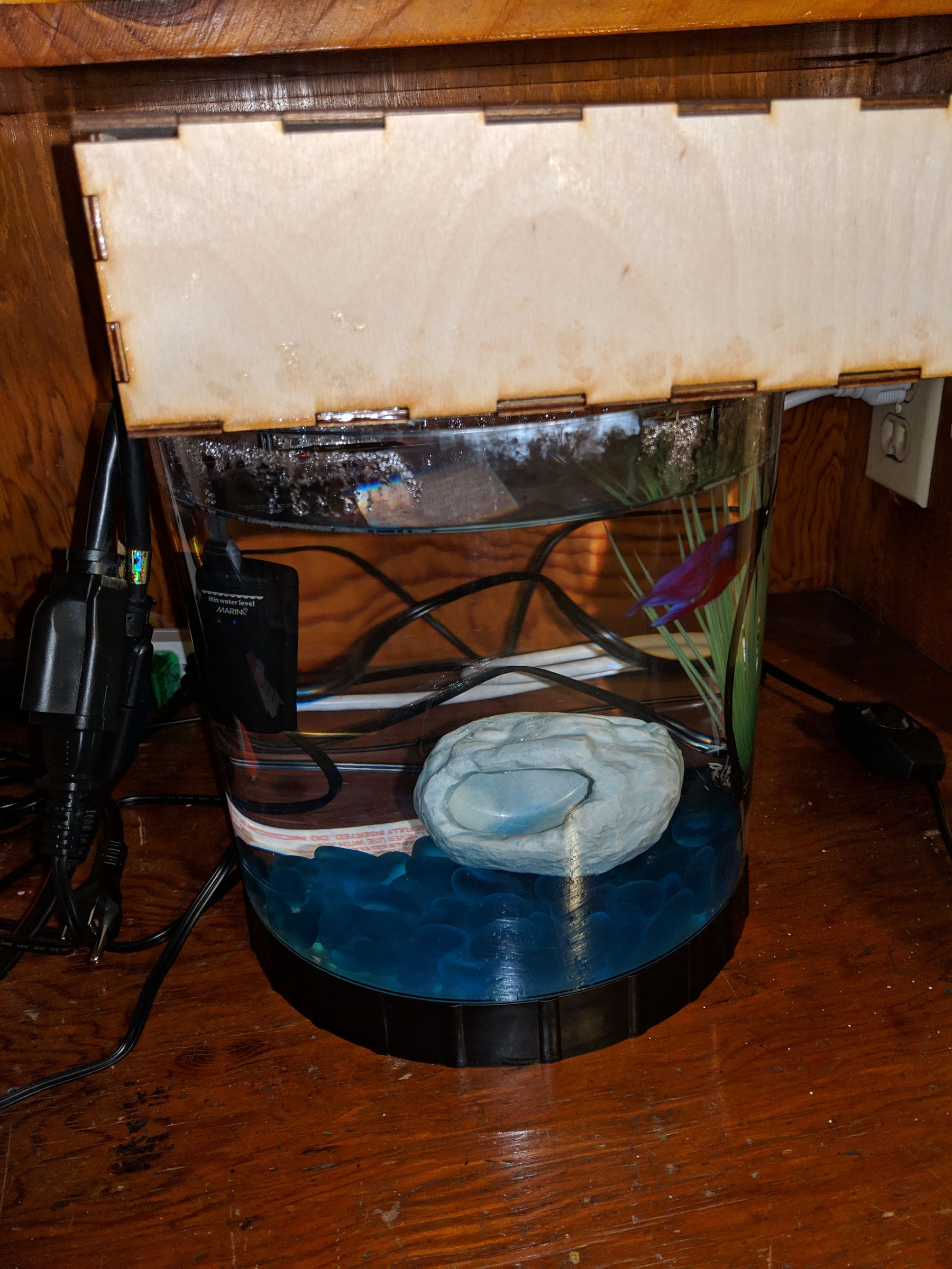 Betta Fish Sitter Create an Automatic Fish Feeder & Temperature Regulator Using a Laser Cutter