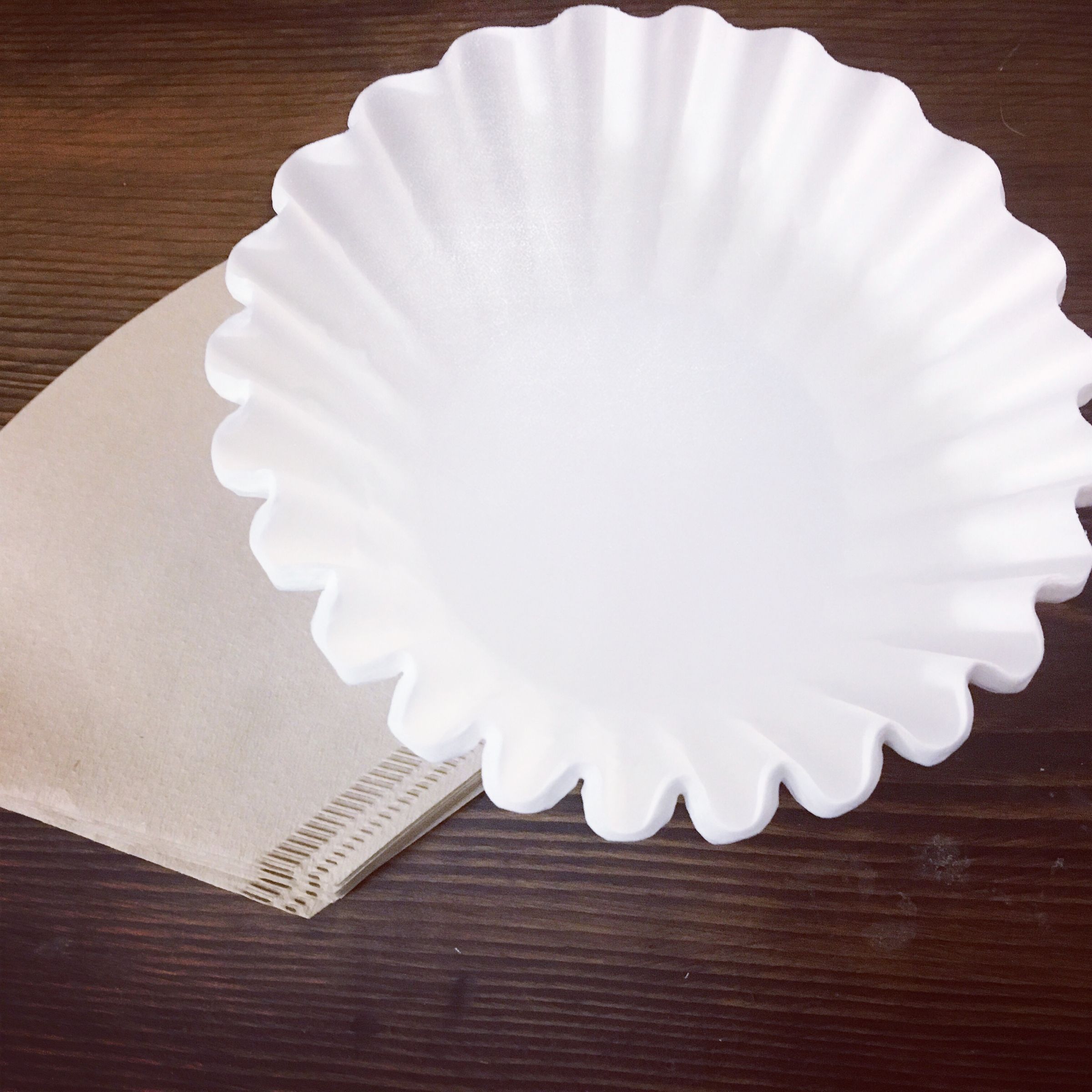 Unusual Uses for Coffee Filters 10 Steps (with Pictures) Instructables