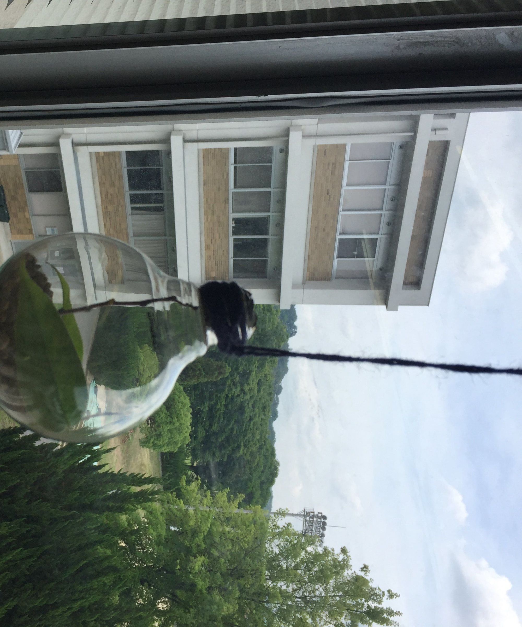 Ornament of Light Bulbs