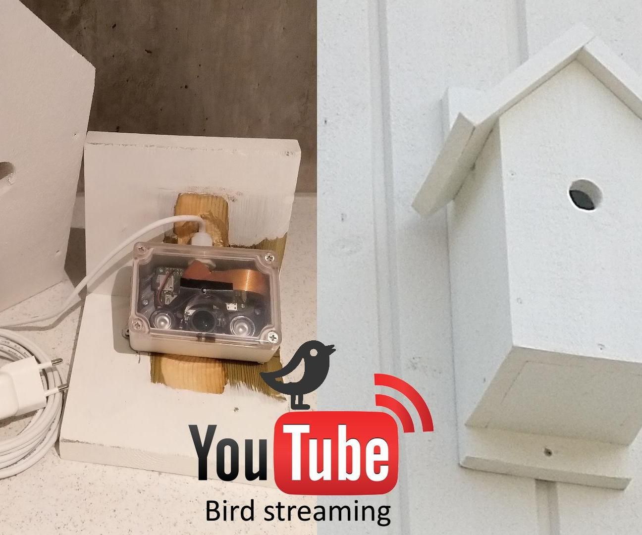 YouTube Streaming Bird Box