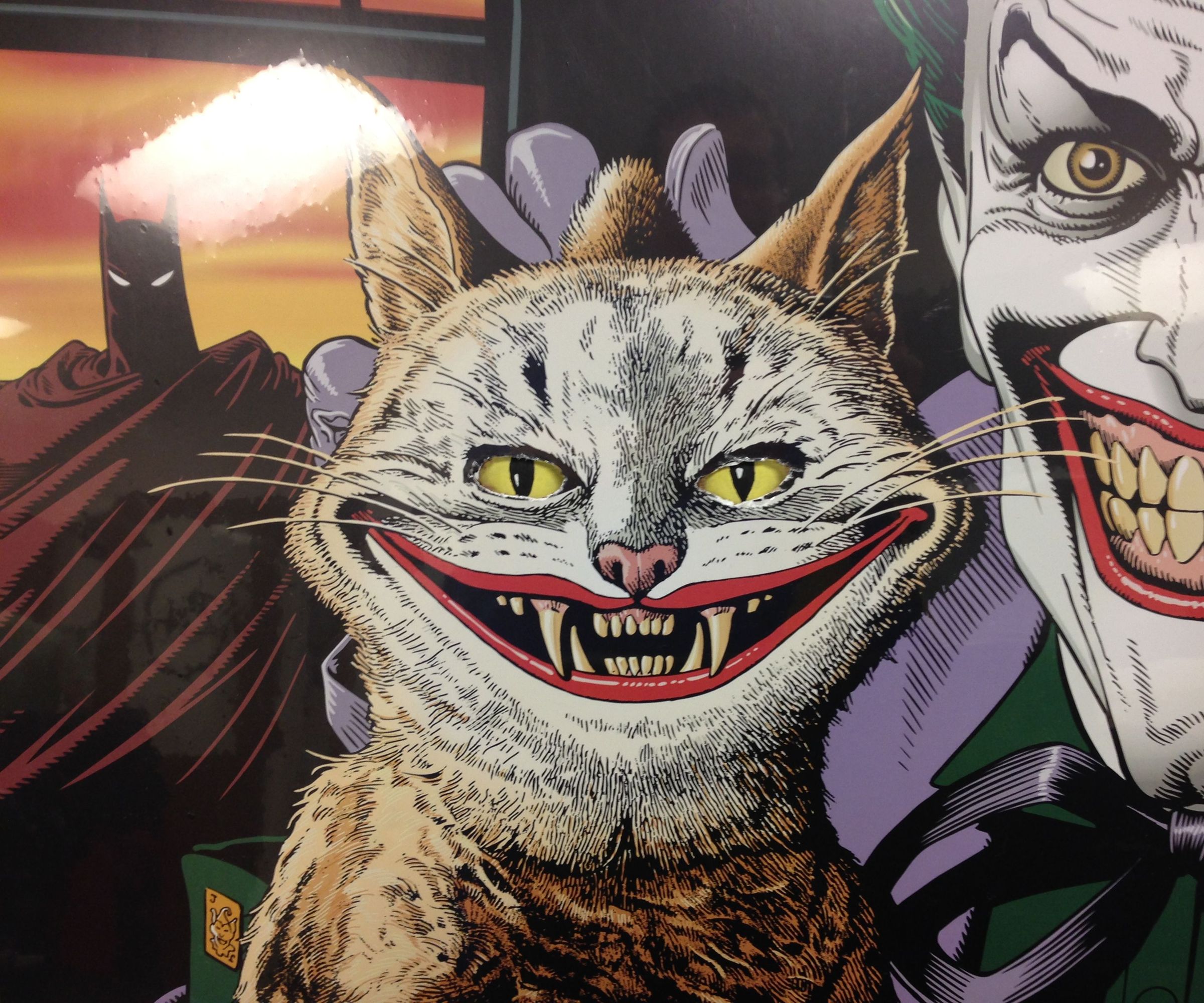 Tracking Cat Eyes Via Kinect