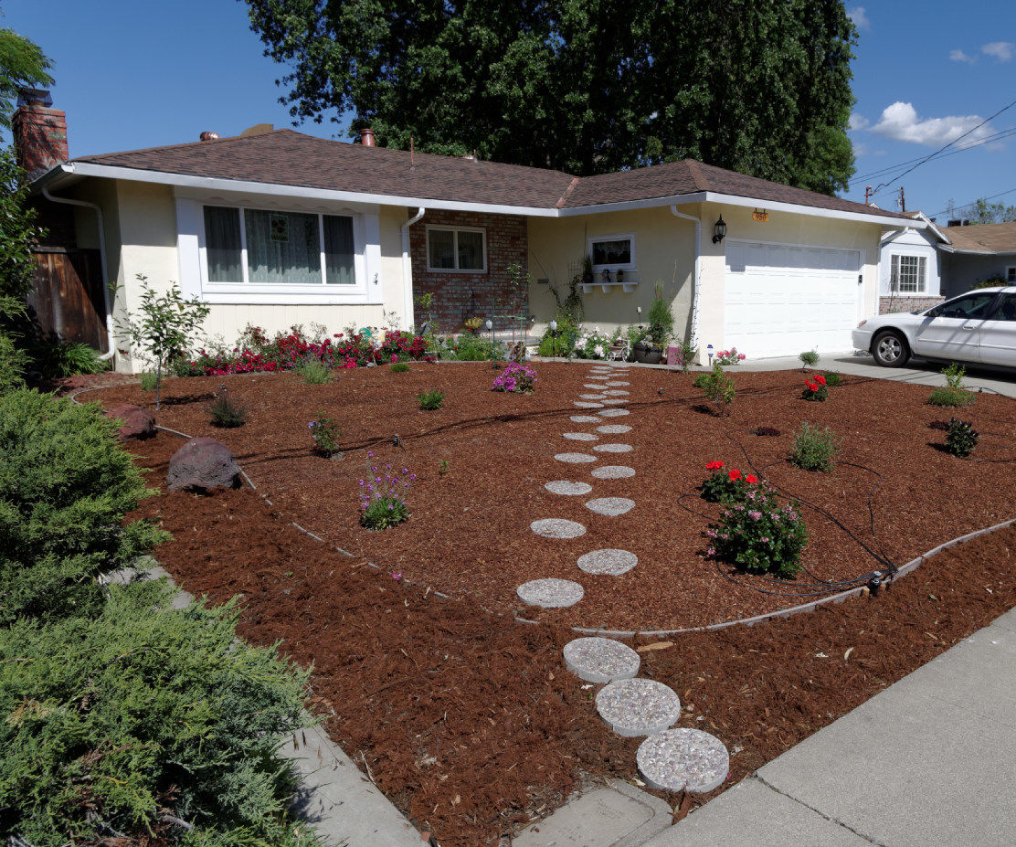 How I Made Money While I Worked on My Front Yard