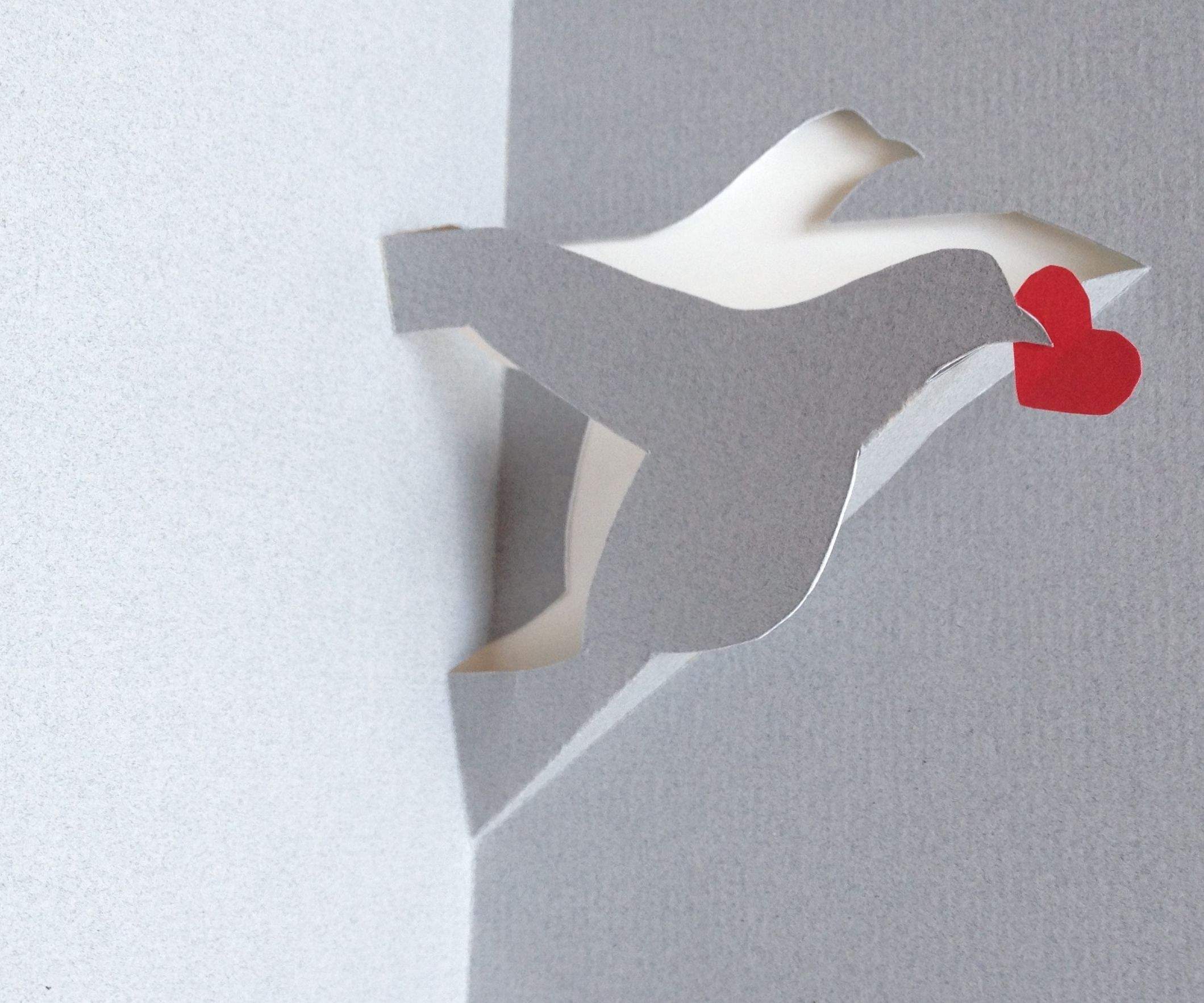 How to Make a Pigeon or a Dove (or a Stork) With a Single Sheet of Paper