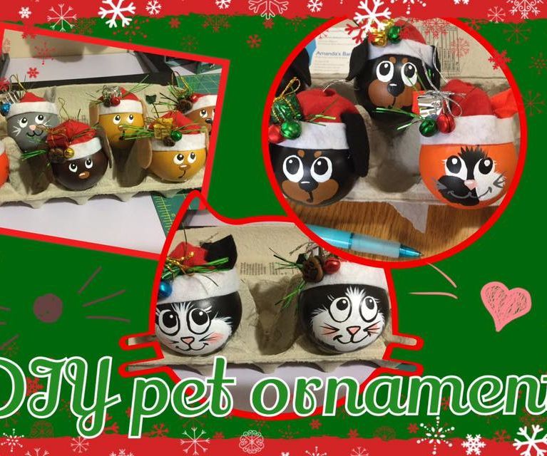 DIY Pet Ornaments