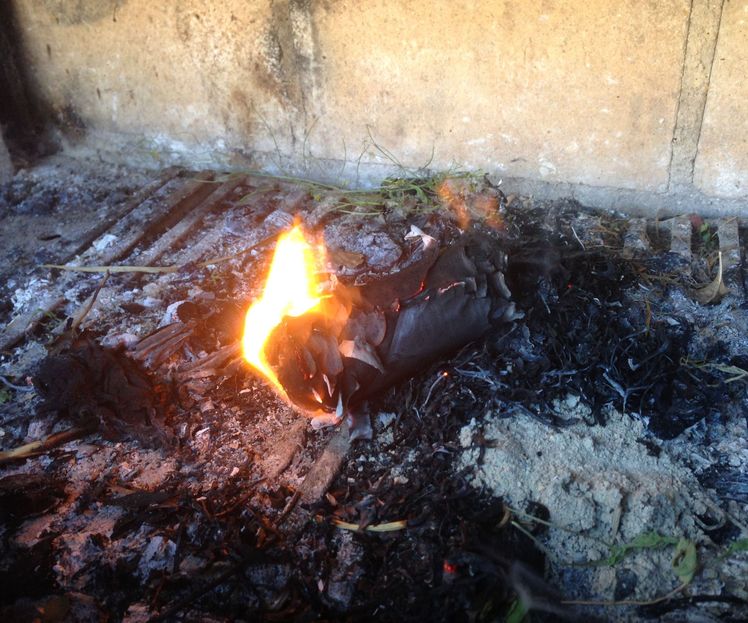 FAST FIRE STARTER