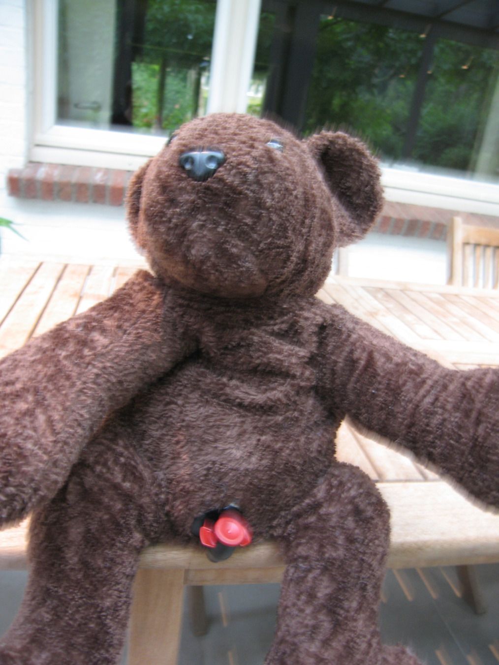 Wine Bear