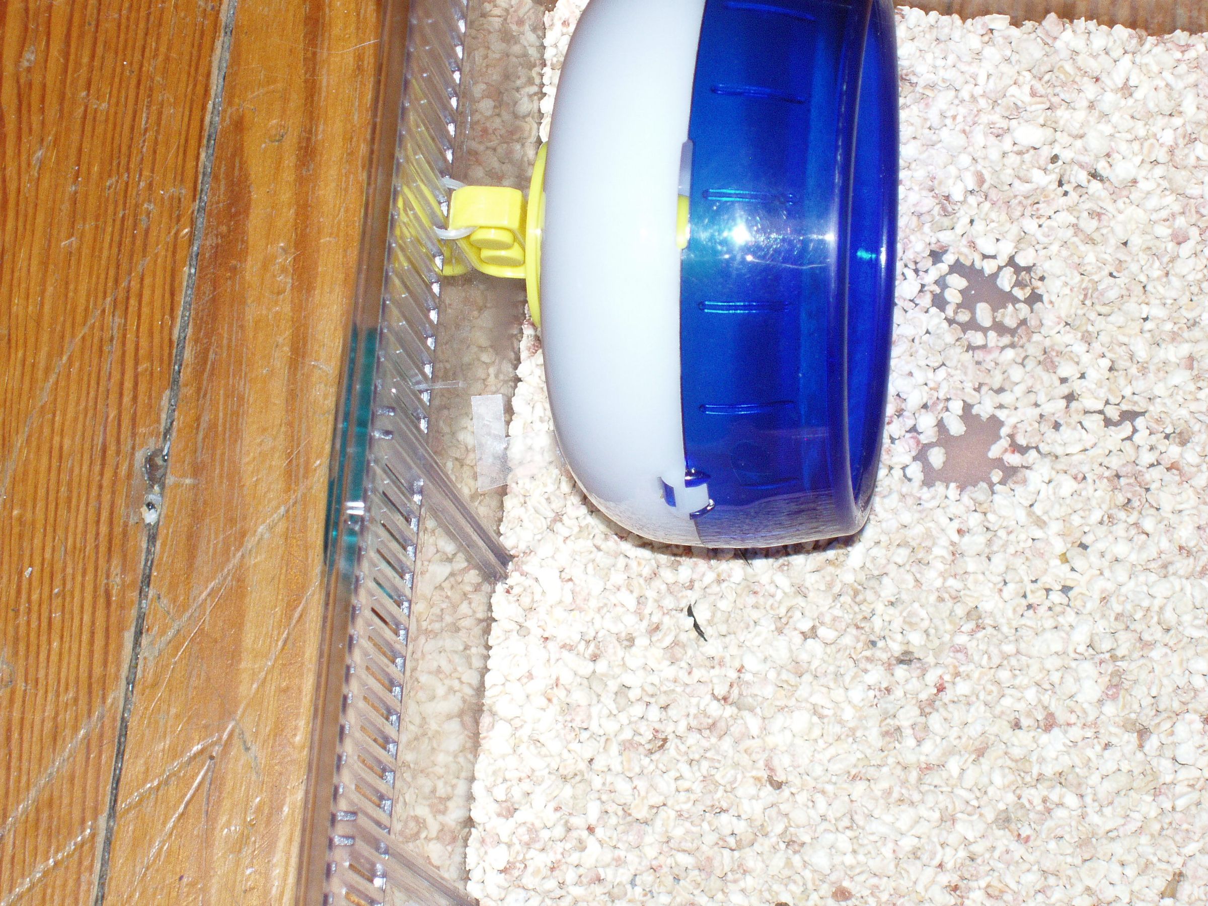 Hamster to Mongolia 5 Steps (with Pictures) Instructables
