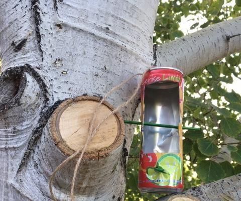 Recycled Can Bird Feeder