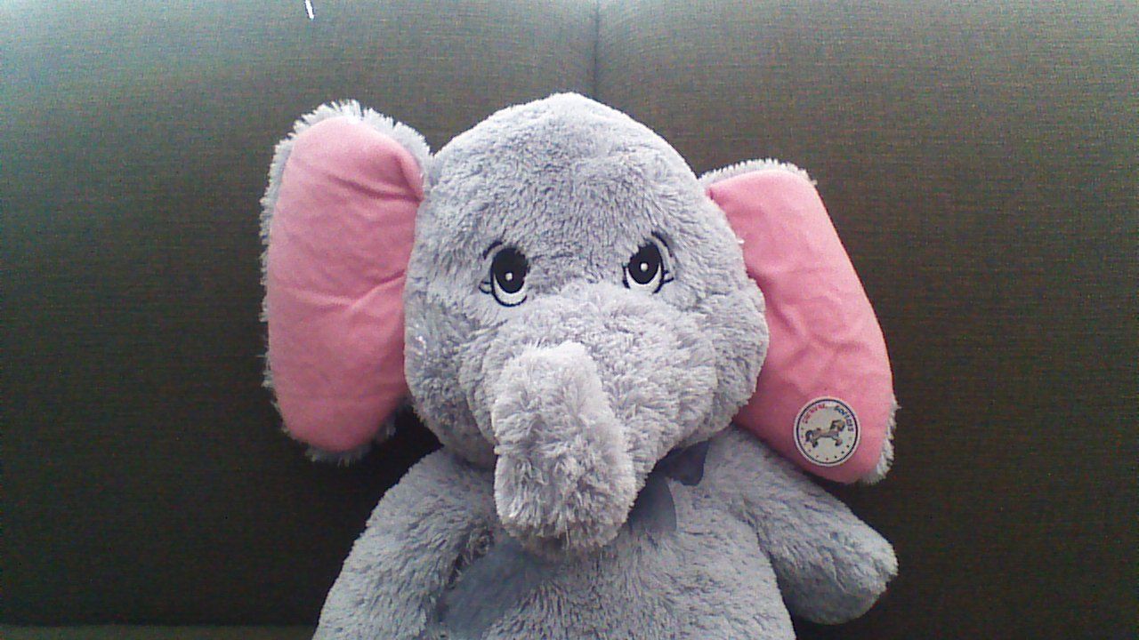 LionelTheElephant