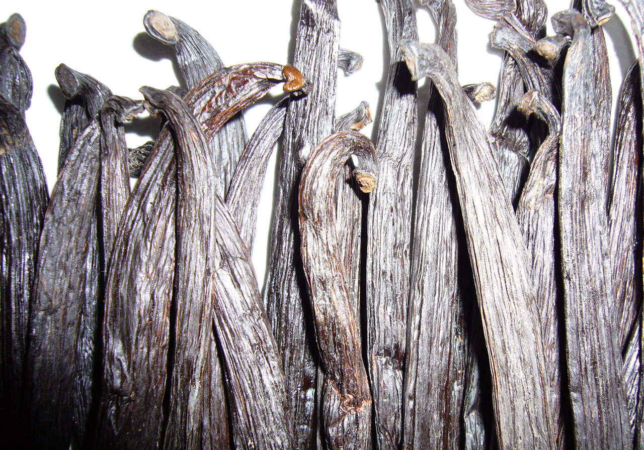 Make Vanilla Extract