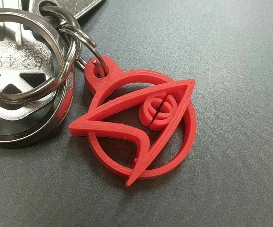Star Trek 3-d Printed Key Chain