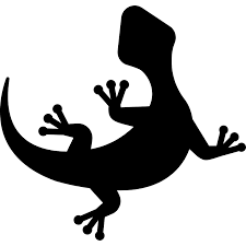 Primary Colours of Light