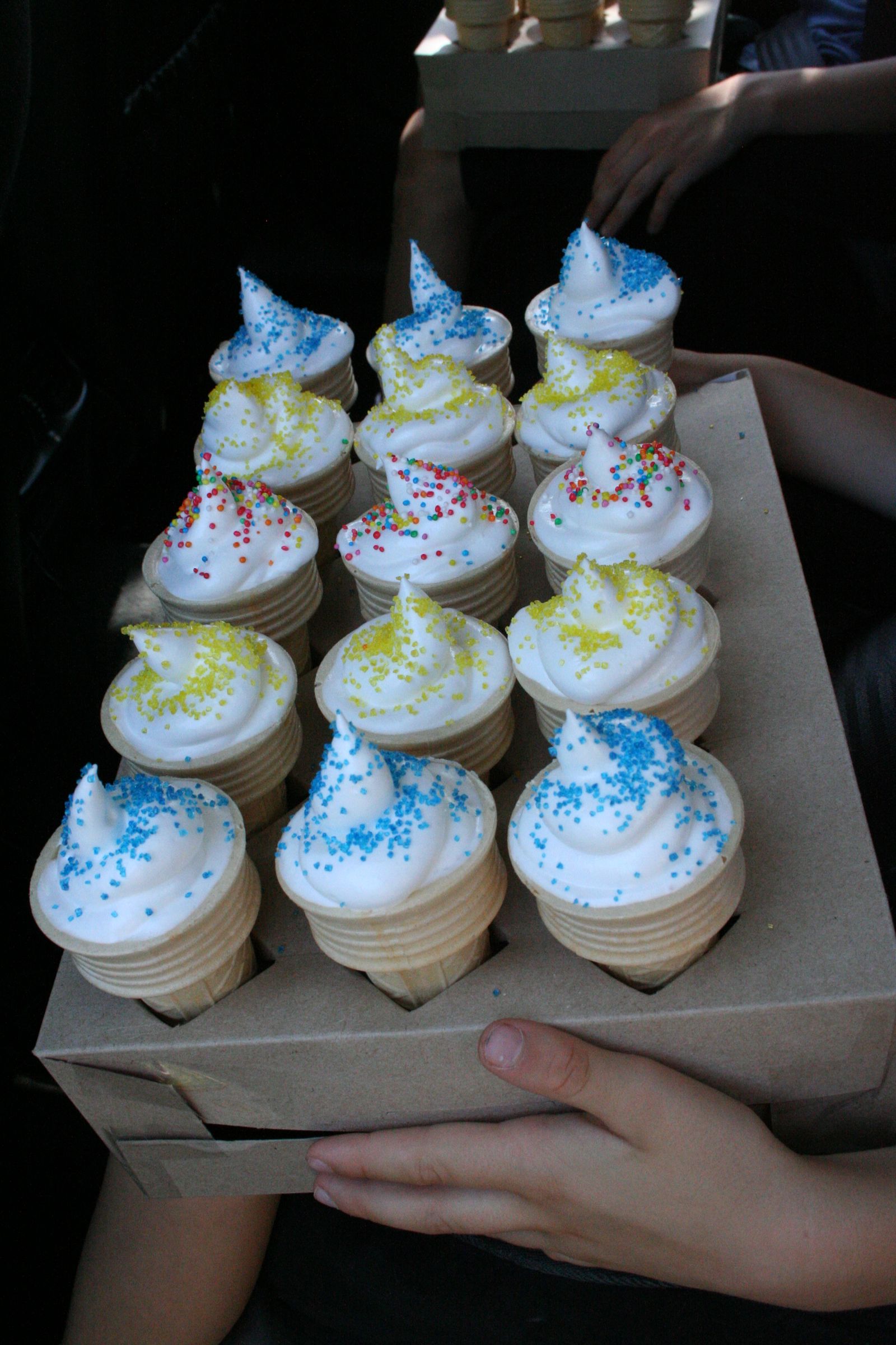 Cardboard Cone Carrier