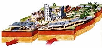 Earthquake Survival Guide