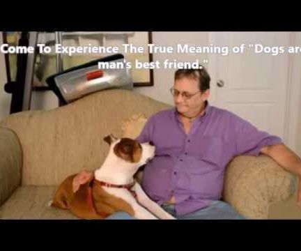 Be the Pack Leader With Your Dog - Part One